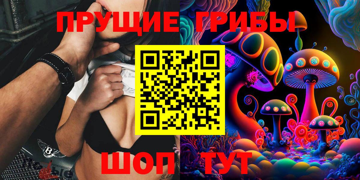 Псилоцибиновые грибы Psilocybine cubensis Горячий Ключ